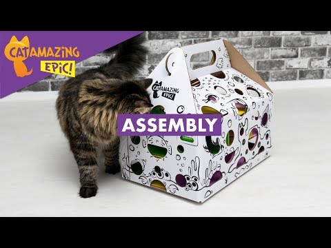 Cat Amazing EPIC! Assembly Instructions