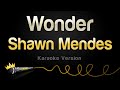 Shawn Mendes - Wonder (Karaoke Version)
