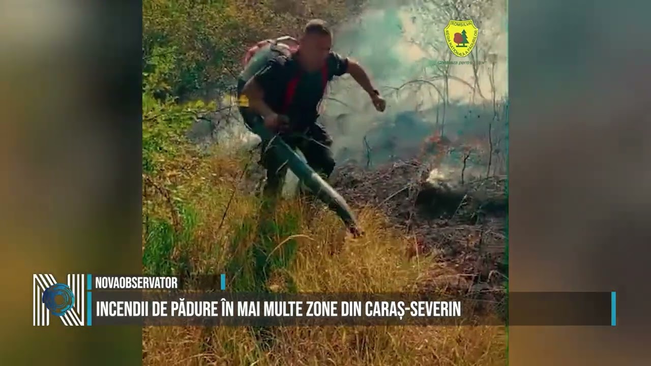 Incendii de pădure în mai multe zone din Caraș-Severin