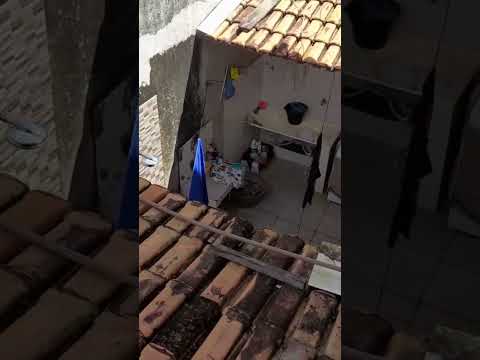 jacundá para o sol tá bonito