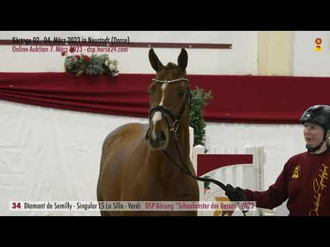 34 Diamant de Semilly - Singular LS La Silla