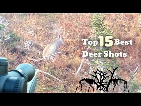 TOP 15 BEST DEER HUNTING KILL SHOTS