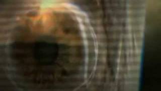 The Legendary Pink Dots - Where No Man