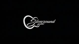Start Your Musical Journey with Silversound Guitar