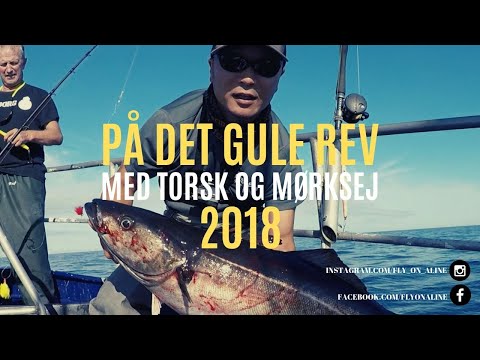 Fiskeri på Det Gule Rev