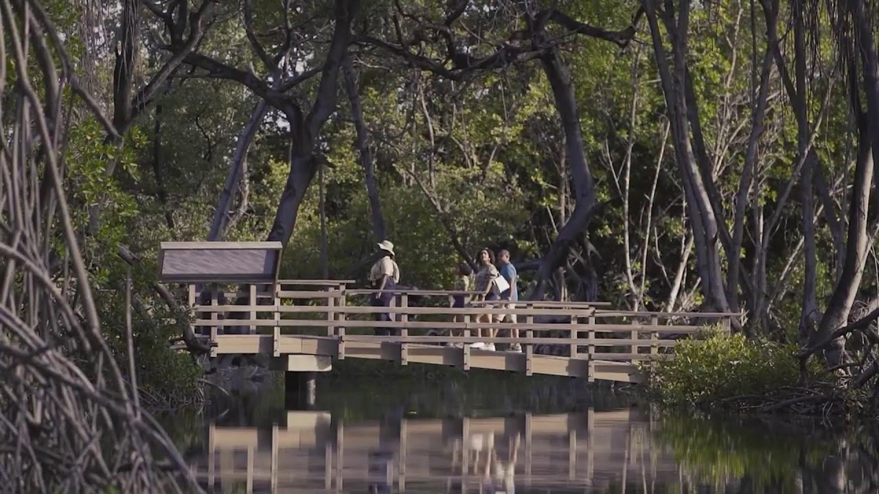 EXTRA JOURNAAL 31-07-2023