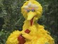 Sesame Street Big Bird S Whistling Poem
