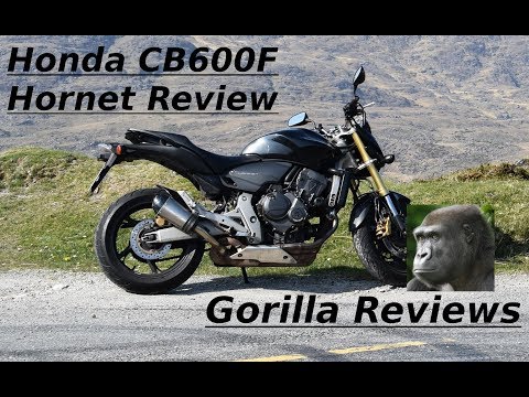 Honda CB600F Hornet Review - Tall Person First Ride!
