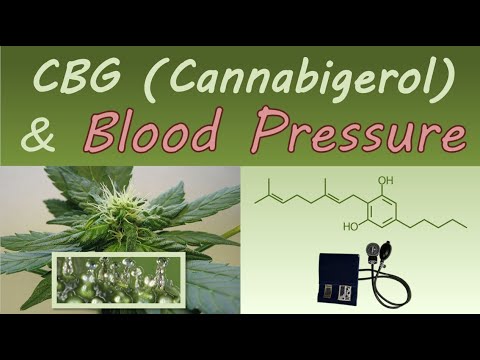 CBG  (Cannabigerol) and Blood Pressure