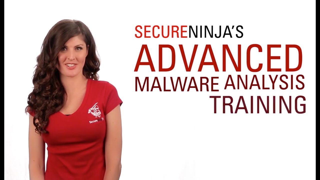 Advanced Malware Analysis Training