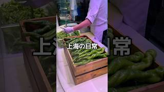 上海生活の日常公園には猫ちゃんがたくさんいます #shanghai #上海 #上海生活 #中国 #海外生活