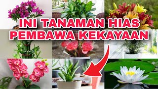 Download lagu Must-Haves! 9 Ornamental Plants That Bring Good Fortune and Luck mp3