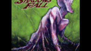 Shadows Fall - Stupid Crazy
