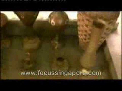 Malay village -- welcome to the decades old world of Malays