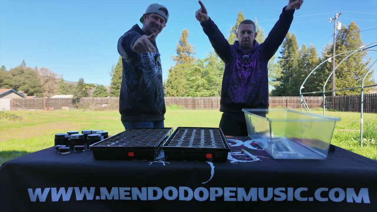 MendoDope’s 2026 Lineup -  THE 