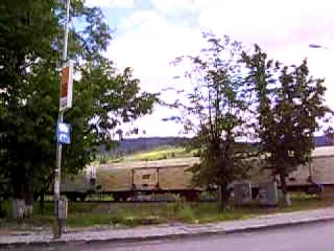 Tren marfar carbogazos- Vatra Dornei vara 2009