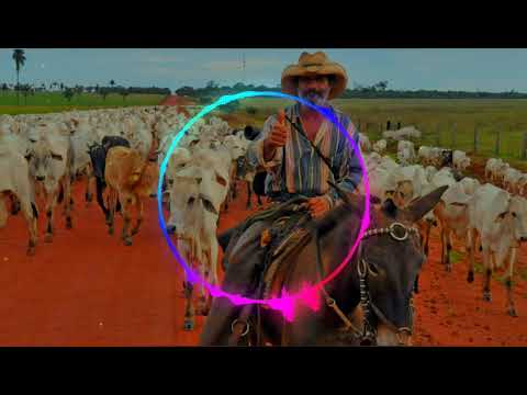 PEÃO CARREIRO & PRAIANO - SAUDOSA VIDA DE PEÃO