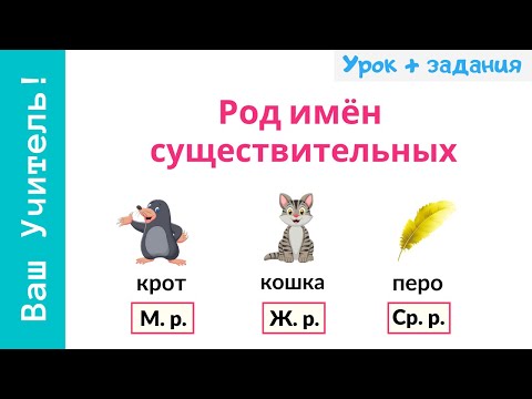 Род имен существительных. Как определить род существительных?