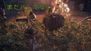 【トゥームレイダー】#30美しき冒険者:かくれんぼ♪【KoC オヤビン＆コビン】