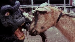 The Black Dahlia Murder - Goat Of Departure video