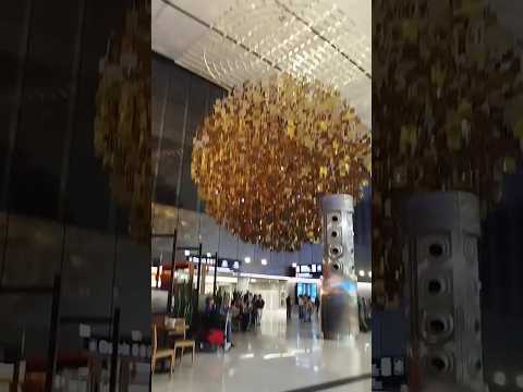 Ezeiza aeropuerto internacional B,A,
