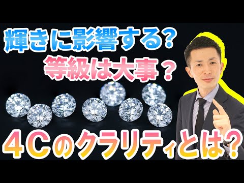 キンカチョウのカップル