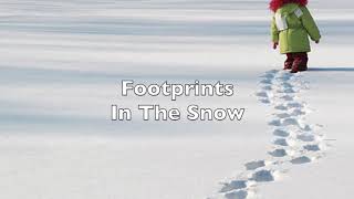 Footprints In The Snow (John Reggio) Musick8