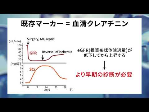看護学科 臨床から見出した早期腎障害バイオマーカーと創薬展開