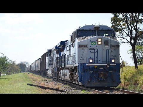 Trenzão carregado subindo o morro de Ibaté #short #locomotive #trains #trem #railfans #ferrovia