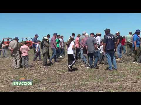Muestra Dinámica de Maquinaria - Expo Rural María Grande 2025