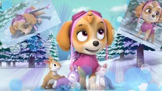 Patrulha Canina Dublado Português Skye precisa de Ajuda | Novelinhas com Tia Fê