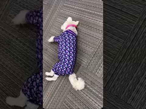 There is only one individual that wears PJs to work 😱 #shorts