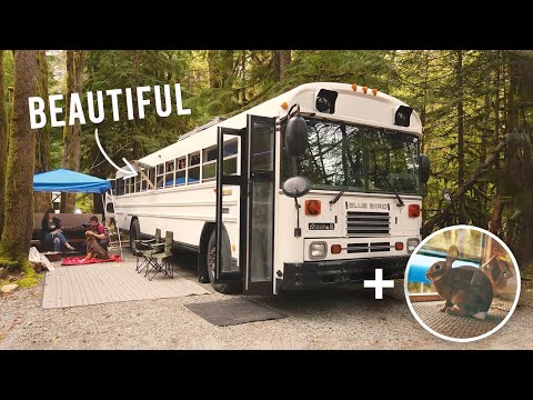 Couple Self Converts Blue Bird School Bus And Leaves The Big City For Life In The Slow Lane