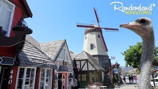 Ostrichland USA, Solvang, and Neverland Ranch!