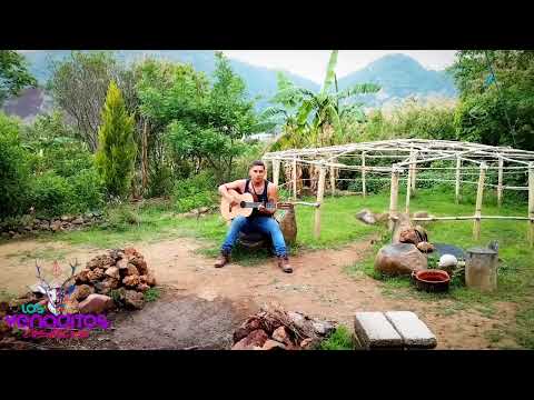 Plumas ancianas /Miguel Fleischauer cover