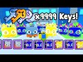 I Opened 9999 Keys And Got  So Many Huge Pets In Pet Simulator 99!