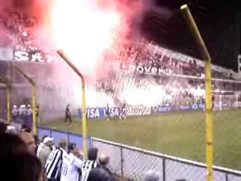 Sangue Jovem do Santos - Libertadores