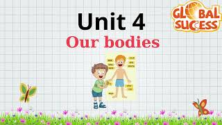 Tiếng Anh 3 - Global Success : Unit 4 : Our bodies