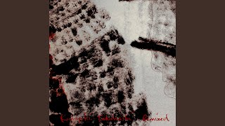 The Session - Cobblestone Jazz Remix