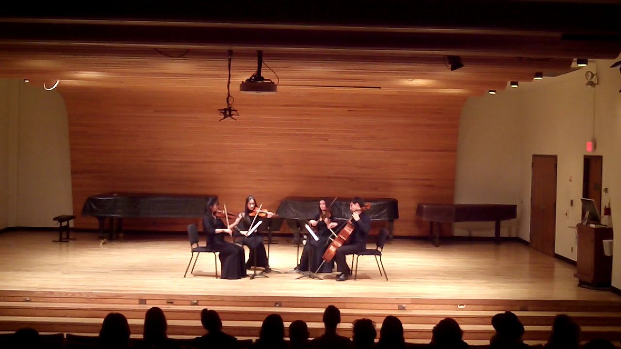 Promotional video thumbnail 3 for Lieder Strings