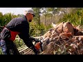 HEART OF TRADITION: A look into harvesting swamp cabbage for Labelle’s famous festival.mov