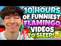 10 HOURS Of Flamingo Roblox Funniest Videos Flamingo Marathon