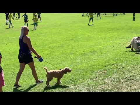 Team sportia cup Skabersjö IF mot Uppåkra IF