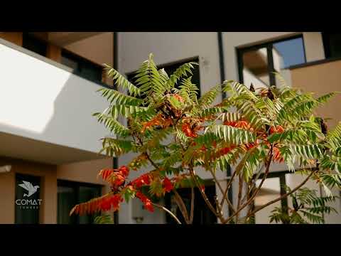 Apartamente Noi Iasi - Comat Towers