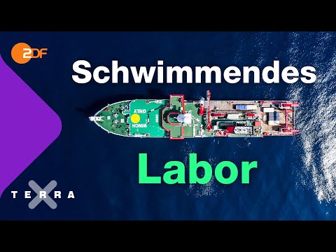 Was passiert eigentlich auf einem Forschungsschiff | Terra X plus