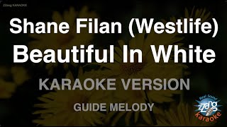 Download lagu Shane Filan (Westlife)-Beautiful In White (Melody) mp3