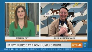 Happy Purrsday: Humane Ohio has dogs, cats up for adoption | Your Day