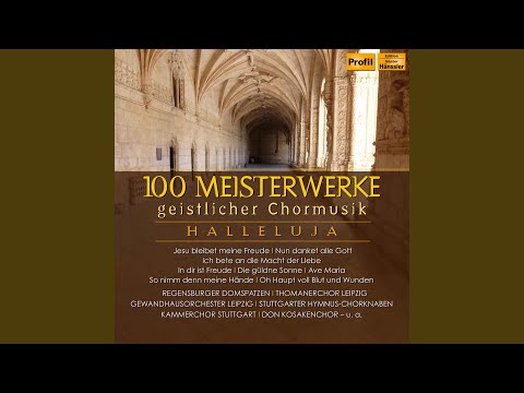 Schaff's mit mir, Gott, BWV 514