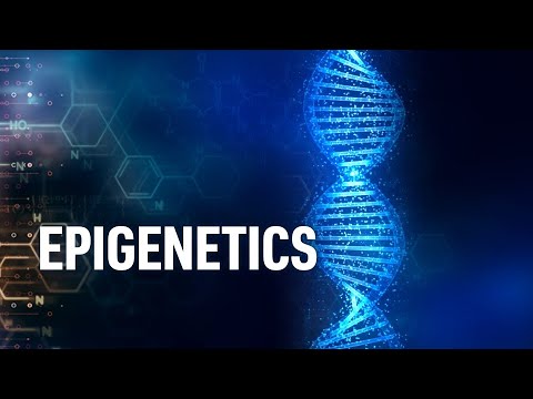 Epigenetics