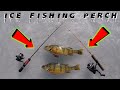 Video Thumbnail for Ice Fishing LANDING JUMBO PERCH! / Catch AND Clean / Crazy Perch Fishing In Saskatchewan